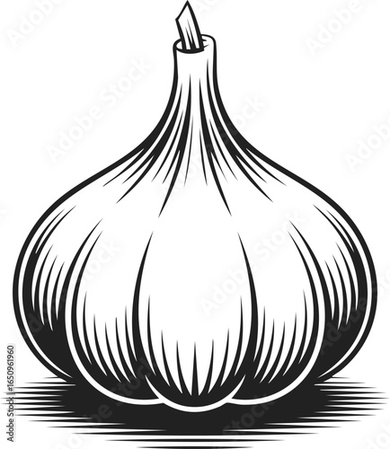 Garlic bulb, culinary flavor enhancer, aromatic vegetable, natural remedy, cooking ingredient, health benefits, organic produce, kitchen staple