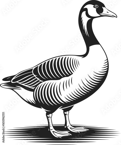 Goose, elegant waterfowl silhouette, wild bird illustration, wildlife art, nature depiction for decor, fine art, and apparel