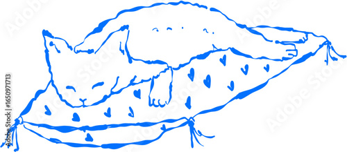 A hand-drawn sketch of a fluffy cat sleeping peacefully on a soft, patterned pillow.