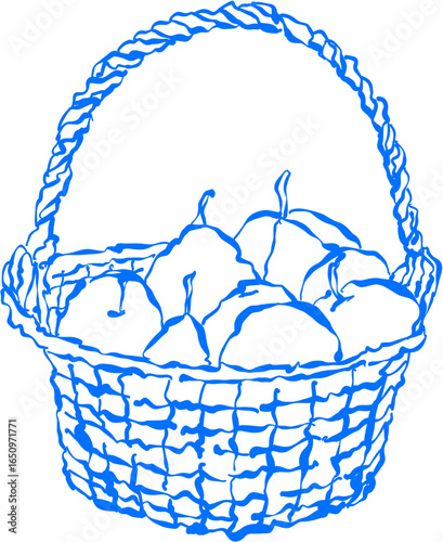 Wicker basket with apples sketch