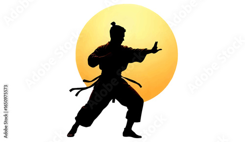 Dynamic silhouettes of martial artists in colorful action poses, showcasing kicks and jumps in a stylized combat sequence isolated on white background