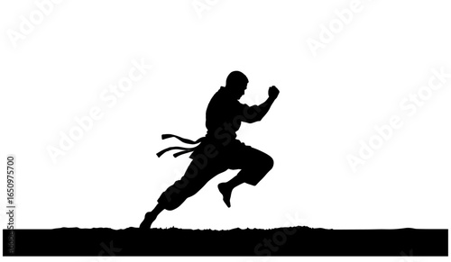 Two colorful martial arts fighters in dynamic stances, facing each other with intense focus, isolated on white background