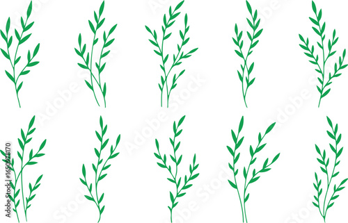 Green plant branch vector, leaf doodle design, natural foliage illustration, botanical branch artwork, simple green leaves sketch, decorative plant element, eco friendly foliage vector, nature inspire