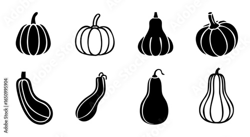 Collection of diverse winter squash varieties illustrated in black and white silhouette style
