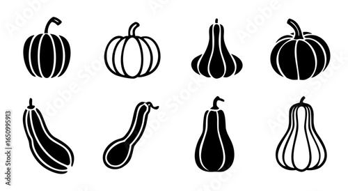 Collection of diverse winter squash varieties illustrated in black and white silhouette style