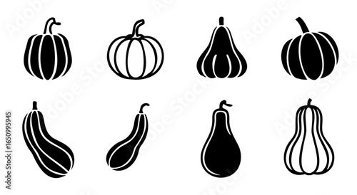 Collection of diverse winter squash varieties illustrated in black and white silhouette style