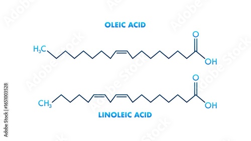 Oleic Acid and Linoleic Acid Chemical Structures on White and Green Background