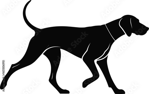 Silhouette of a walking dog with collar, black dog side view, pet animal, canine shape, domestic pet silhouette, animal vector.