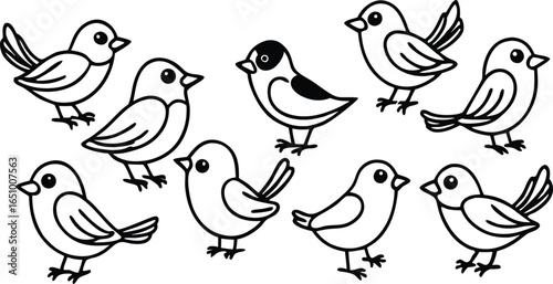 Cute Cartoon Birds Outline Set