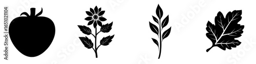 Silhouettes of fruits and plants showcase nature's beauty and diversity in a minimalist design ideal for artistic inspiration