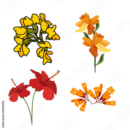 Colorful Floral Vector Illustration Set