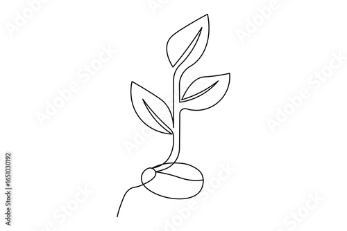 Minimalist continuous one line drawing of a growing plant sprout with leaves on white background