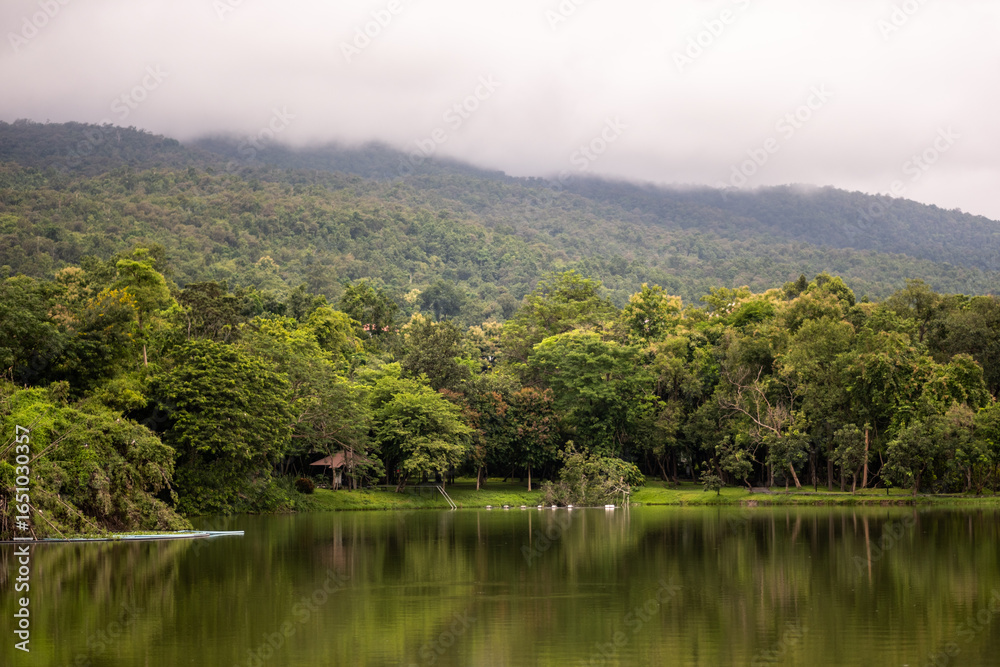 Obraz premium Serene Lake Surrounded by Lush Green Forest and Mountains
