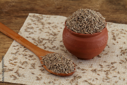 Obraz na plátne Fresh cumin seeds in earthen pot