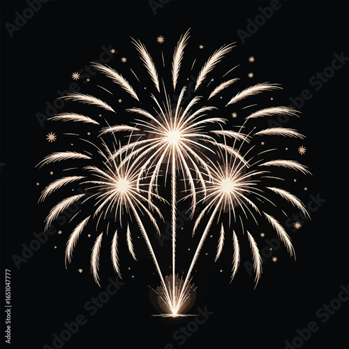 Spectacular Fireworks Display Against a Dark Sky, Bursting with Light and Color for Celebrations