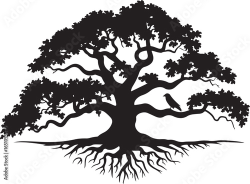 Silhouette of a large oak tree with sprawling roots and a bird branches
