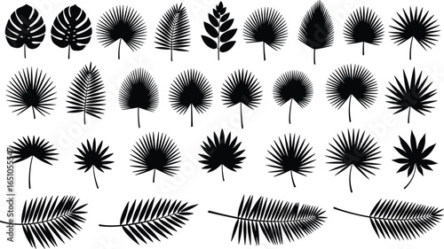 Black silhouette collection of assorted tree and plant leaves, botanical shapes for design, nature pattern set, decorative foliage outline bundle