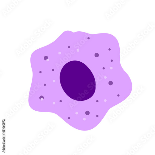 Macrophage Phagocytosing Illustration 