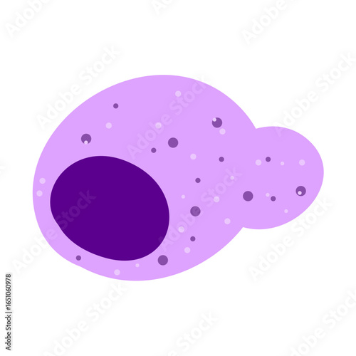 Macrophage Phagocytosing Illustration 