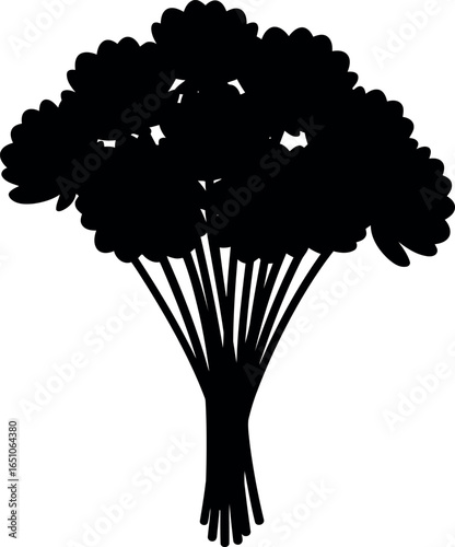 Silhouette of parsley bunch