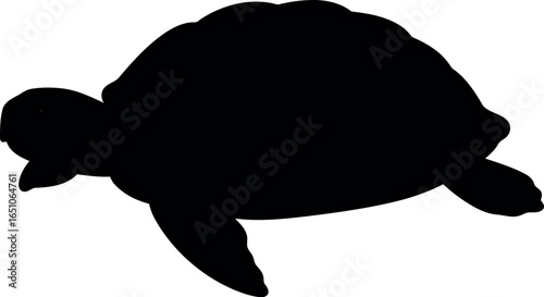 Black silhouette sea turtle swimming