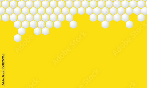 bee honeycombs background. yellow and white, texture. Abstract seamless pattern .Vector illustration.