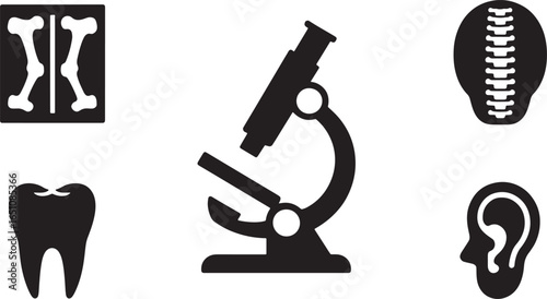 Medical Examination and Research Icons Featuring Microscope, X-Ray, and Anatomy Silhouettes