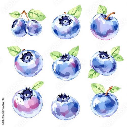 watercolor blueberry set