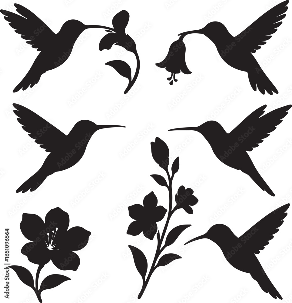 Obraz premium vector set of silhouttee hummingbird and flower on white background