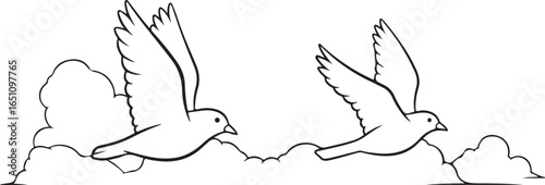 Birds fly in the sky