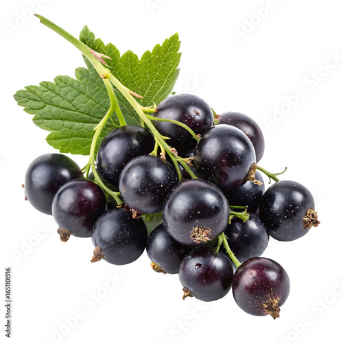 A bunch of ripe blackcurrants isolated on a transparent background
