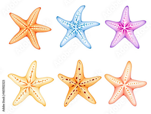 Sea star set watercolor, starfish watercolor clipart
