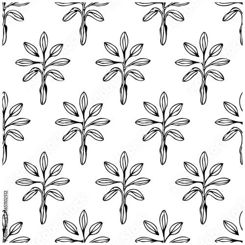 Elegant botanical pattern showcasing delicate plant with stylized leaves in minimalist black and white design for backgrounds