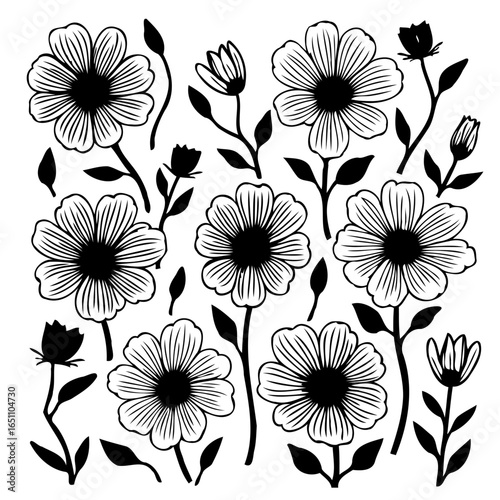 Floral line art illustration featuring elegant flowers, buds, and leaves for decorative designs and botanical compositions