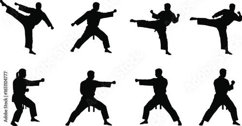Karate martial artist silhouette in kicking and punching poses, combat training, self-defense technique, action stance, vector illustration, male fighter, black figure movement.