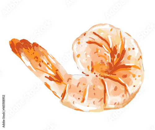 Watercolor illustration of a cooked shrimp tail, showcasing its curved shape and textured surface.