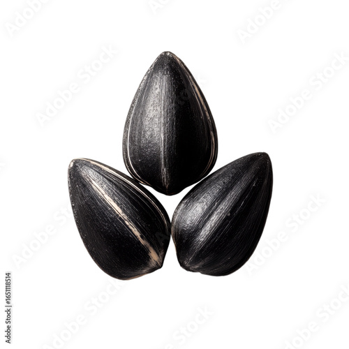 Wallpaper Mural Three black sunflower seeds isolated on transparent background Torontodigital.ca