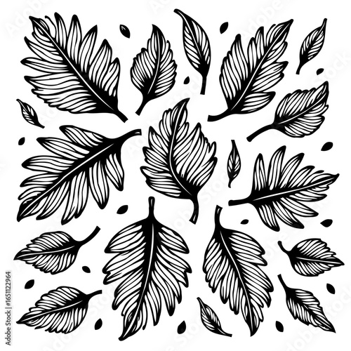 Botanical illustration showcases intricate leaves in black and white vector design for nature themed projects and artful compositions