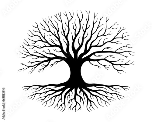 Intricate black tree silhouette with extensive roots isolated on white background