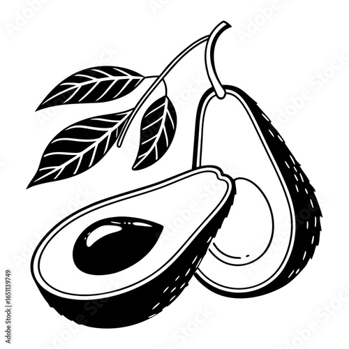 Black and white vector illustration of avocado with leaves isolated on white background, perfect for healthy food designs, organic products, and vegetarian recipes