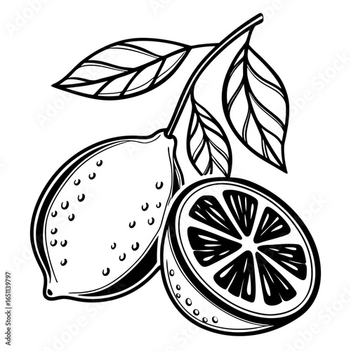 A monochrome illustration of a lemon and a lemon slice on a branch with leaves, isolated on white background, showcasing its vibrant color and refreshing taste in a simple design
