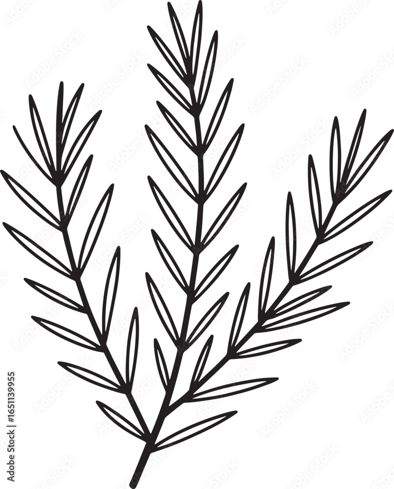 Fototapeta premium Rosemary Herb Branch Silhouette Vector Illustration for Culinary and Aromatic Designs