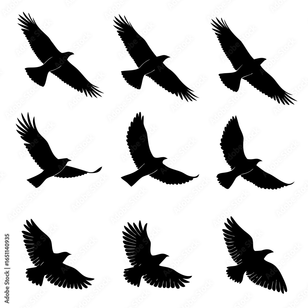 Obraz premium Nine black silhouette illustrations of birds in flight on a white background flying