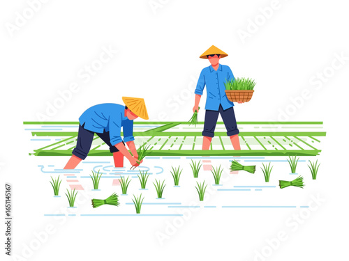 Asian Farmers in Rice Paddies: Two hardworking Asian farmers, donned in conical hats, diligently plant rice seedlings in flooded paddies, representing agricultural cultivation and labor in the fields.