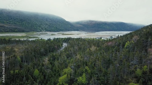 Aerial view of a river flowing through a lush green forest in newfoundland, canada