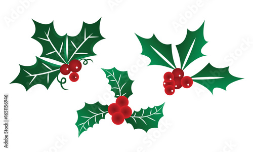 Christmas decoration with green holly leaves and red berries