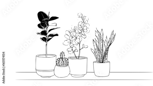 Potted plants line art drawing illustration of house plants including snake plant cactus and ficus plants