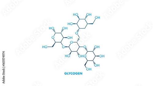 Glycogen Chemical Structure on White and Green Background