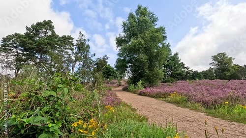 The Büsenbachtal in the Lüneburg Heath