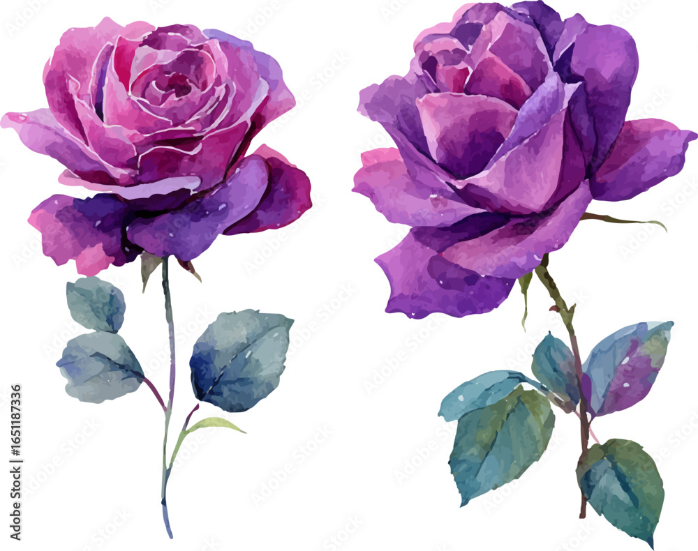 Fototapeta premium bouquet of roses